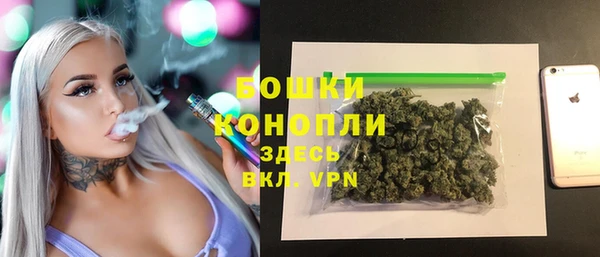 прущие грибы Аркадак