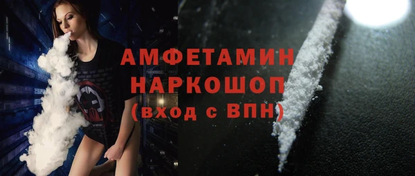 прущие грибы Аркадак