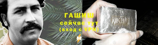 СК Пересвет