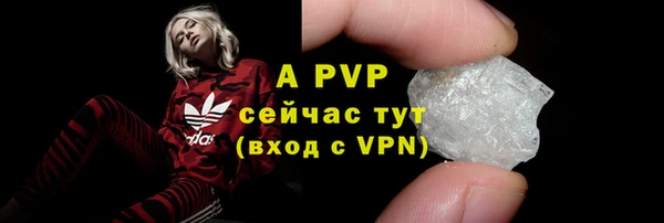 прущие грибы Аркадак