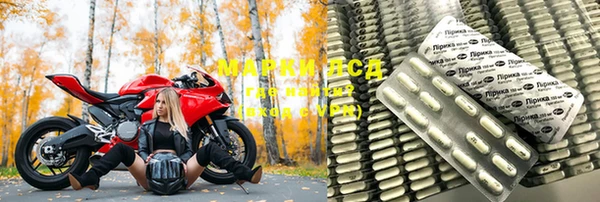 прущие грибы Аркадак