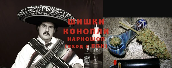 прущие грибы Аркадак