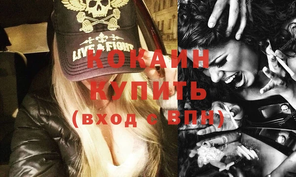 прущие грибы Аркадак