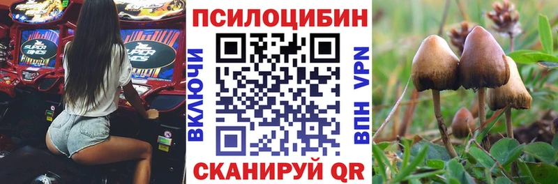 Галлюциногенные грибы Psilocybine cubensis  МЕГА ссылки  Белоусово 